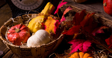 Картинка еда тыква дары осени листья корзина