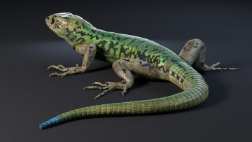 Картинка 3д+графика животные+ animals рептилия ящерица