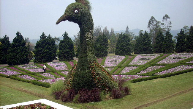 Обои картинки фото разное, садовые и парковые скульптуры, птица