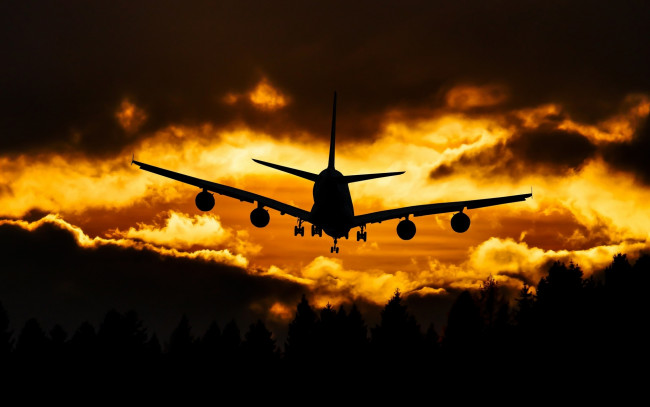 Обои картинки фото авиация, пассажирские самолёты, самолет, закат, облака, лес