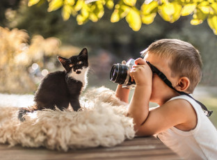 Картинка разное дети мальчик фотоаппарат котенок