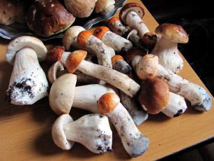 Картинка еда грибы +грибные+блюда боровики подосиновики