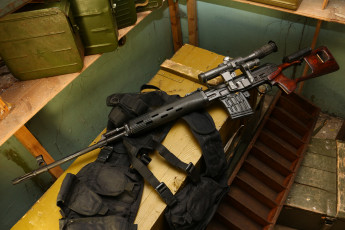 Картинка оружие снайперская+винтовка драгунов снайперская винтовка ящик