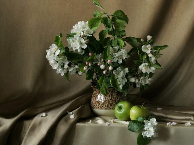 Обои картинки фото harumi, saito, Яблонька, цветы, цветущие, деревья, кустарники