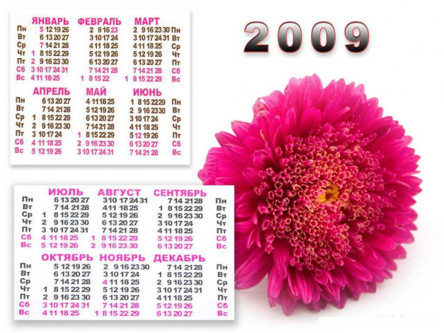 Обои картинки фото календарь, 2009, календари, цветы