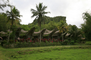 Картинка природа тропики пальмы цветы домики