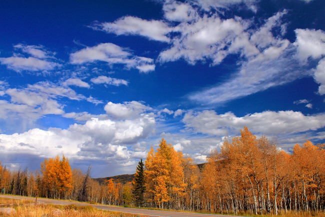 Обои картинки фото природа, деревья, осень, дорога, облака