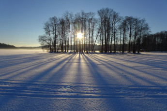 Картинка природа зима снег закат лес