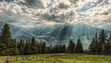Картинка альпы австрия природа горы лес луга ели