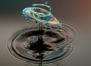 Картинка разное капли +брызги +всплески брызги всплеск вода круги жидкость капля