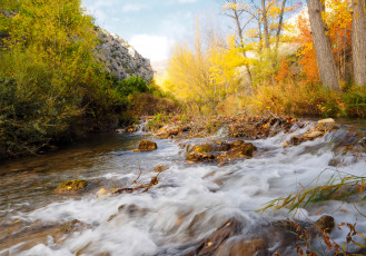 Картинка природа реки озера камни поток осень деревья лес река горы