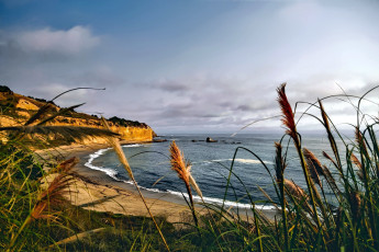 Картинка природа побережье трава море скалы