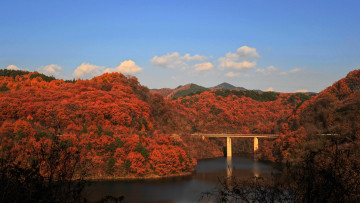 Картинка природа пейзажи лес река небо осень горы мост