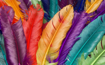 Картинка разное перья макро цвет