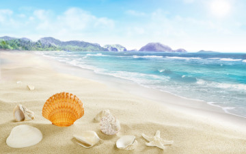 обоя разное, ракушки,  кораллы,  декоративные и spa-камни, sea, seashells, beach, sand