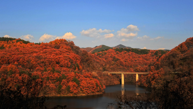 Обои картинки фото природа, пейзажи, лес, река, небо, осень, горы, мост