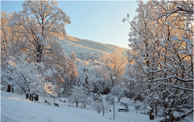 Обои картинки фото природа, парк, зима, деревья, снег, мороз, winter, frost, park, snow, trees