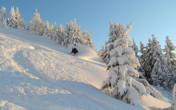 Картинка спорт лыжный деревья ели спуск зима снег