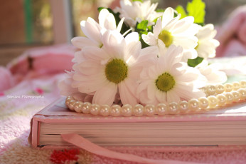 Картинка цветы хризантемы книга ожерелье