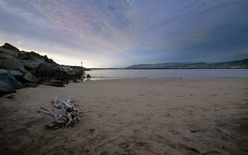 Картинка природа побережье камни песок море берег облака следы коряга