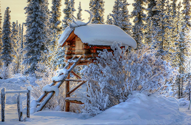 Обои картинки фото природа, зима, лесница, лес, снег, деревья, домик