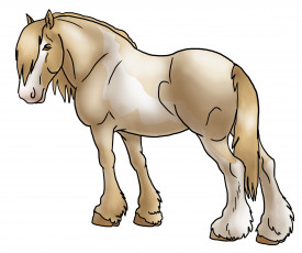 Картинка рисованное животные +лошади взгляд фон лошадь грива