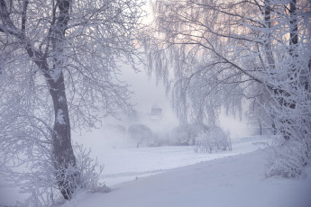 Картинка природа зима деревья ed gordeev иней туман санкт-петербург