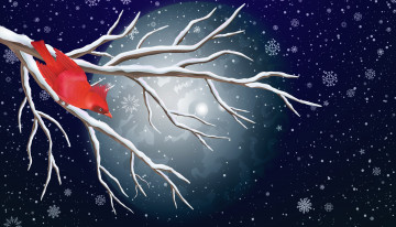 Картинка векторная+графика птицы+ птицы зима снежинки птица фон ветка луна снег минимализм