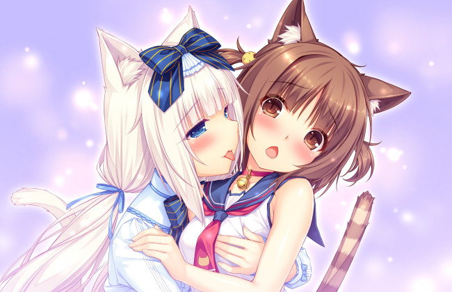 Обои картинки фото аниме, nekopara, некопара