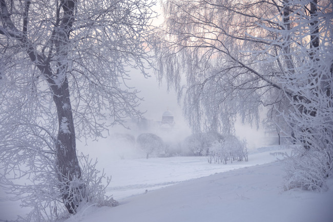 Обои картинки фото природа, зима, деревья, ed, gordeev, иней, туман, санкт-петербург