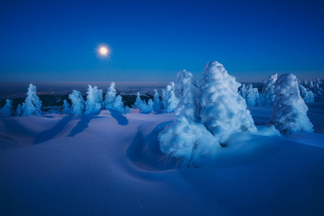 Обои картинки фото природа, зима, снег, луна, сугробы, ели, szabo, zsolt, andras, ночь