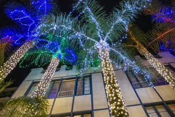 Картинка праздничные новогодние+пейзажи иллюминация пальмы