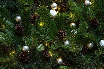 Картинка праздничные ёлки шишки елка шарики
