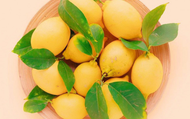 Обои картинки фото еда, цитрусы, лимоны, листья