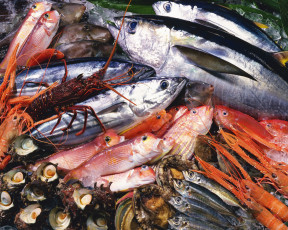 Картинка еда рыба морепродукты суши роллы анчоусы лангусты мидии раки