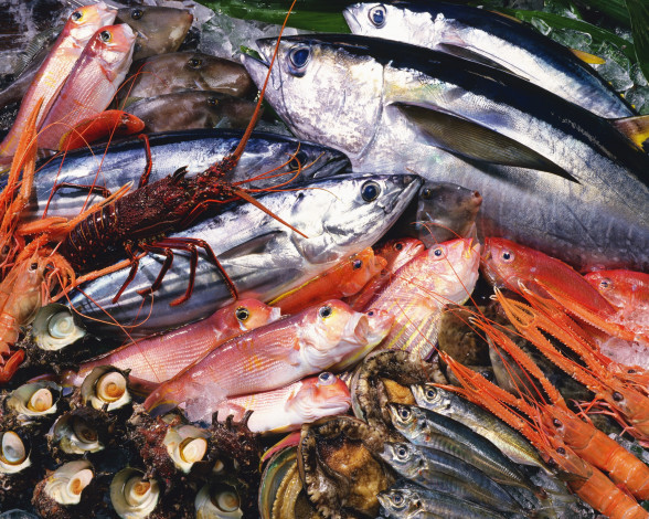 Обои картинки фото еда, рыба, морепродукты, суши, роллы, анчоусы, лангусты, мидии, раки
