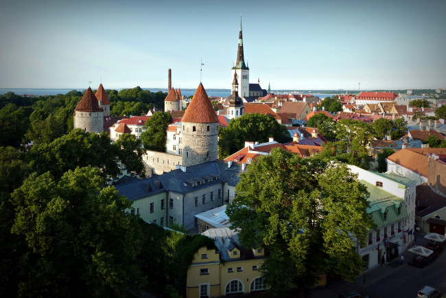 Обои картинки фото таллинн, эстония, города, таллин, старинные, здания, башни