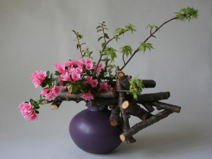 обоя цветы, рододендроны , азалии, азалия, ваза, розовый