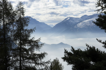 Картинка природа горы деревья туман