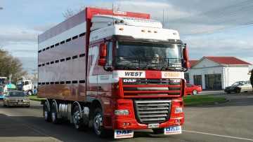 обоя daf xf 105 stock truck, автомобили, daf, седельные, тягачи, trucks, nv, нидерланды, автобусы, шасси