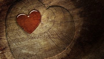 Картинка праздничные день+святого+валентина +сердечки +любовь сердца срез бревно сердечки дерево
