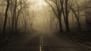 обоя природа, дороги, дорога, туман, осень, утро, парк