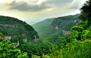 Картинка природа горы зелень