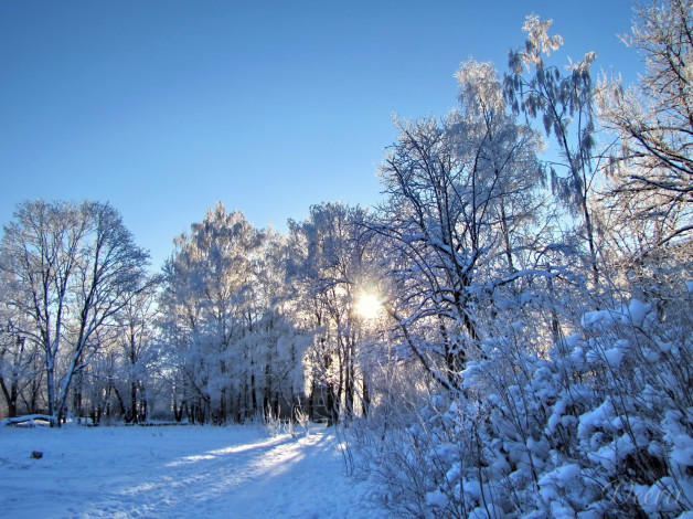 Обои картинки фото природа, зима, солнце, снег