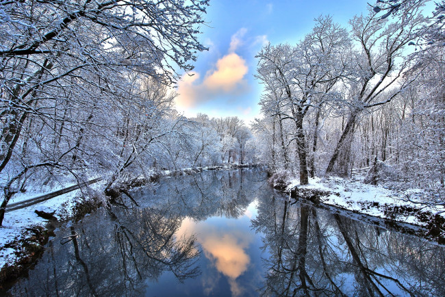 Обои картинки фото природа, зима, вода, деревья