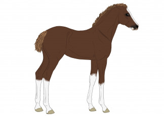 Картинка рисованное животные +лошади взгляд фон грива лошадка