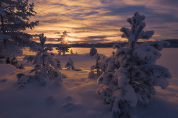 Картинка природа зима сумерки