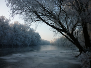 Картинка природа реки озера деревья иней