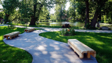 Картинка природа парк пруд водоем скамейки аллея покой