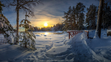 Картинка природа парк утро зима